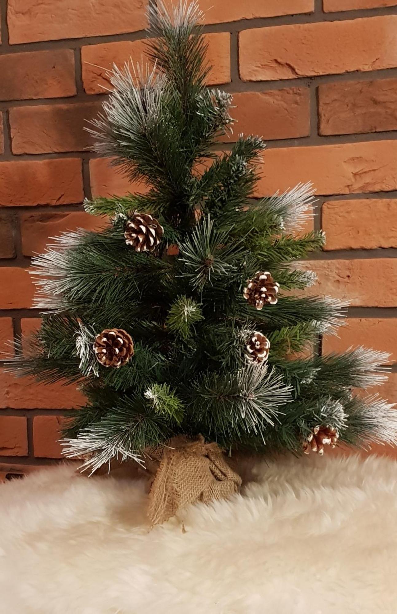 Apartamenty Bachledzki Wierch, Zakopane Eksteriør bilde
